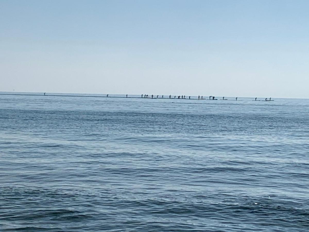 Apartamentoen La Playa, 200 Mts De La Playa Nuevo Santa Pola Exteriör bild