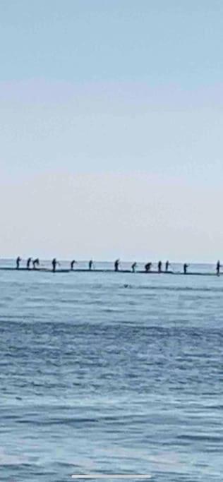 Apartamentoen La Playa, 200 Mts De La Playa Nuevo Santa Pola Exteriör bild